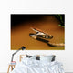 A Brown Vine Snake With Its Mouth Open Wall Mural