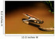 A Brown Vine Snake With Its Mouth Open Wall Mural