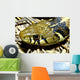 Checkered Garter Snake's Head Wall Mural