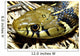 Checkered Garter Snake's Head Wall Mural