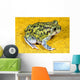 A Spadefoot Toad Wall Mural