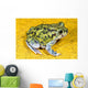 A Spadefoot Toad Wall Mural