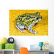 A Spadefoot Toad Wall Mural