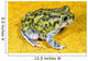 A Spadefoot Toad Wall Mural