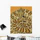 A Prairie Rattlesnake, Crotalus Viridis, Sitting On A Road Wall Mural
