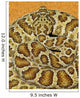 A Prairie Rattlesnake, Crotalus Viridis, Sitting On A Road Wall Mural