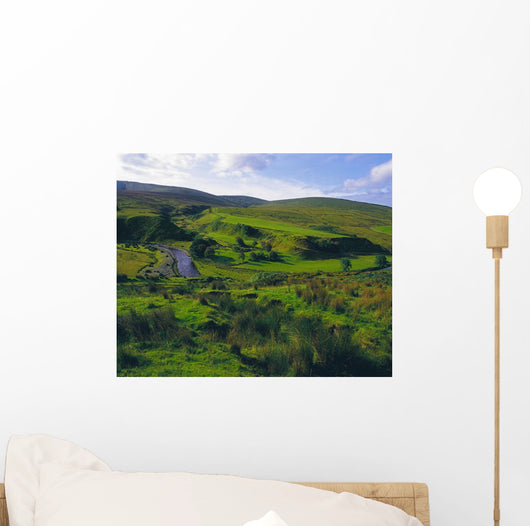 Glenelly Valley, Sperrin Mountains, Co Tyrone, Ireland Wall Mural