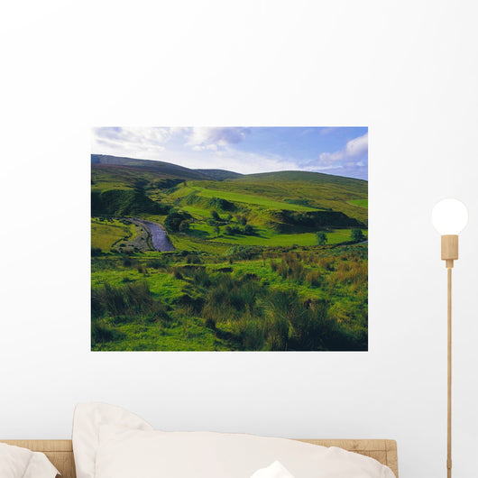 Glenelly Valley, Sperrin Mountains, Co Tyrone, Ireland Wall Mural