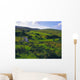 Glenelly Valley, Sperrin Mountains, Co Tyrone, Ireland Wall Mural