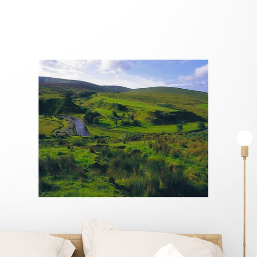 Glenelly Valley, Sperrin Mountains, Co Tyrone, Ireland Wall Mural