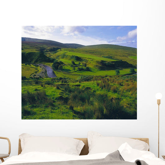Glenelly Valley, Sperrin Mountains, Co Tyrone, Ireland Wall Mural