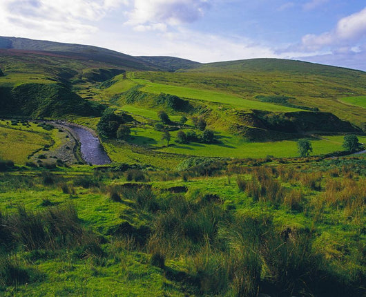 Glenelly Valley, Sperrin Mountains, Co Tyrone, Ireland Wall Mural