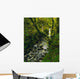Glenariff, Co Antrim, Ireland Wall Mural