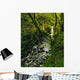 Glenariff, Co Antrim, Ireland Wall Mural