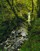 Glenariff, Co Antrim, Ireland Wall Mural