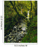 Glenariff, Co Antrim, Ireland Wall Mural