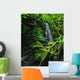 Waterfall, Sloughan Glen, Co Tyrone, Ireland Wall Mural