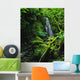 Waterfall, Sloughan Glen, Co Tyrone, Ireland Wall Mural