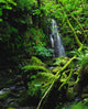 Waterfall, Sloughan Glen, Co Tyrone, Ireland Wall Mural