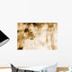 Lion In Front Of An Old Map Of Africa Wall Mural