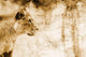 Lion In Front Of An Old Map Of Africa Wall Mural