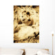 Old Photograph Of A Lion On A Rock Wall Mural