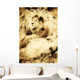 Old Photograph Of A Lion On A Rock Wall Mural