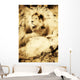 Old Photograph Of A Lion On A Rock Wall Mural
