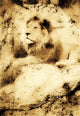 Old Photograph Of A Lion On A Rock Wall Mural