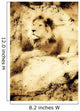 Old Photograph Of A Lion On A Rock Wall Mural