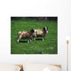 Jacob Sheep Wall Mural