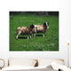 Jacob Sheep Wall Mural