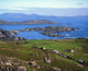Derrynane Harbour, Caherdaniel, Ring Of Kerry, Co Kerry, Ireland Wall Mural