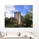 Blarney Castle, Co Cork, Ireland Wall Mural