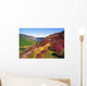 Wicklow Way, Co Wicklow, Ireland Wall Mural