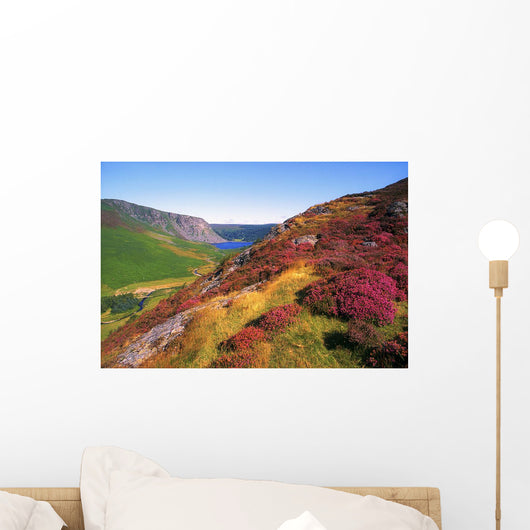 Wicklow Way, Co Wicklow, Ireland Wall Mural