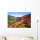 Wicklow Way, Co Wicklow, Ireland Wall Mural