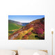 Wicklow Way, Co Wicklow, Ireland Wall Mural
