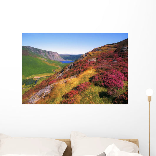 Wicklow Way, Co Wicklow, Ireland Wall Mural