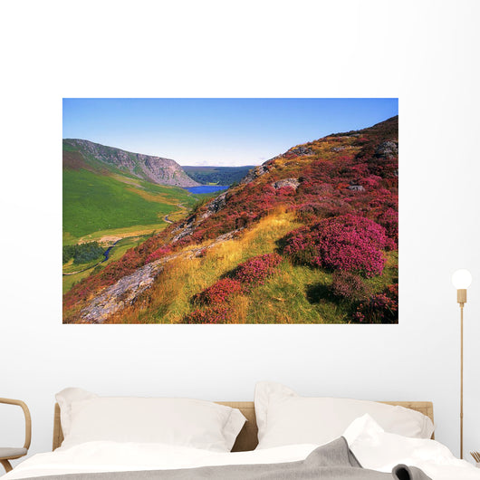 Wicklow Way, Co Wicklow, Ireland Wall Mural