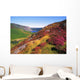 Wicklow Way, Co Wicklow, Ireland Wall Mural