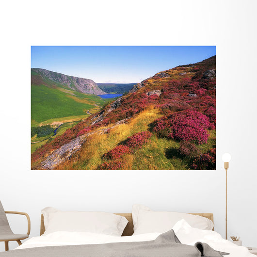Wicklow Way, Co Wicklow, Ireland Wall Mural