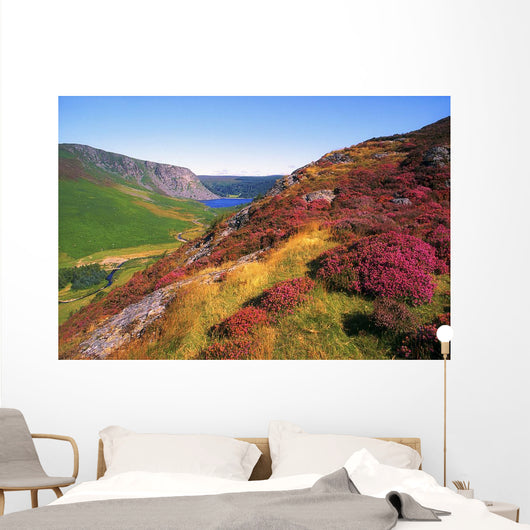 Wicklow Way, Co Wicklow, Ireland Wall Mural