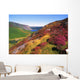 Wicklow Way, Co Wicklow, Ireland Wall Mural