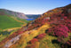 Wicklow Way, Co Wicklow, Ireland Wall Mural