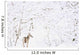 Deer In A Forest Wall Mural