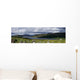 scotland Wall Mural