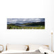 scotland Wall Mural