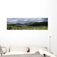 scotland Wall Mural