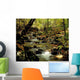 Babbling Brook Wall Mural